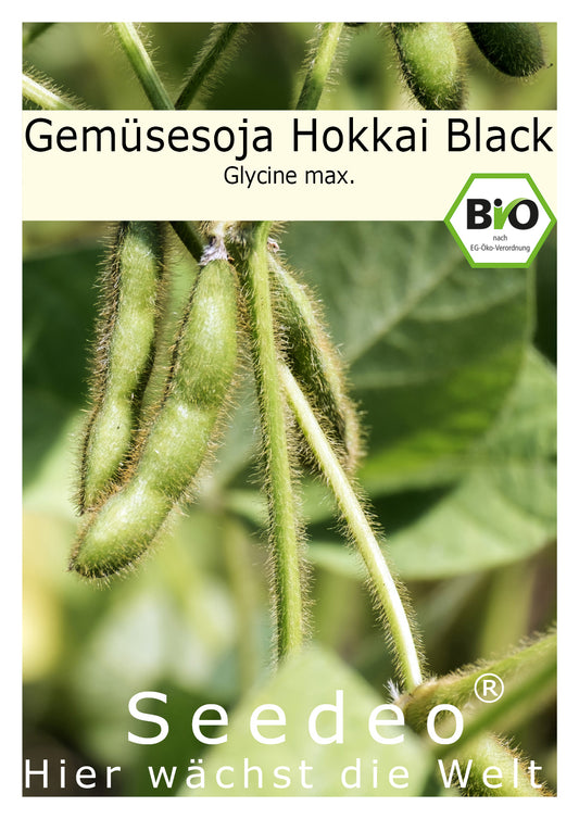 Seedeo® Sojabohne Hokkai Black (Glycine max) ca. 30 Samen BIO