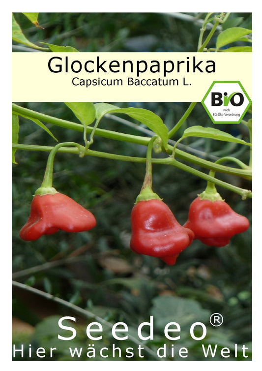 Seedeo® Glockenpaprika (capsicum baccatum L.) Samen BIO