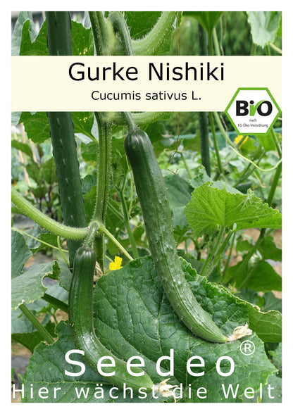 Seedeo® Salatgurke Nishiki (Cucumis sativus L.) ca. 10 Samen BIO