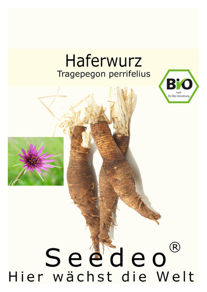 Seedeo® Haferwurz (Tragepegon perrifelius) Samen BIO