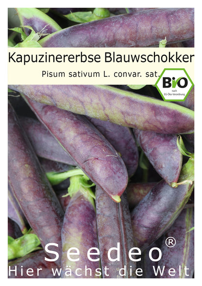 Seedeo® Kapuzinererbse Blauwschokker ( Pisum sativum L. convar. Sat.) ca. 100 Samen BIO