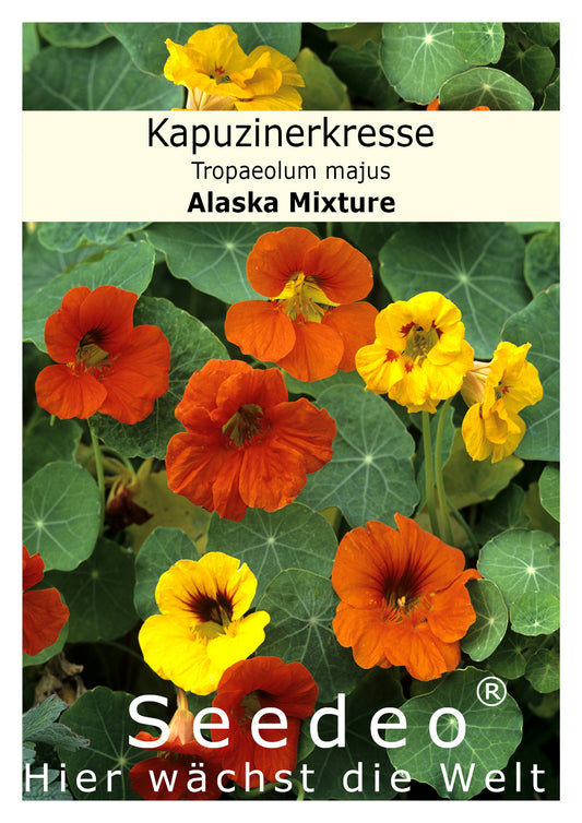 Seedeo® Kapuzinerkresse Alaska Mixture (Tropaeolum majus) 40 Samen