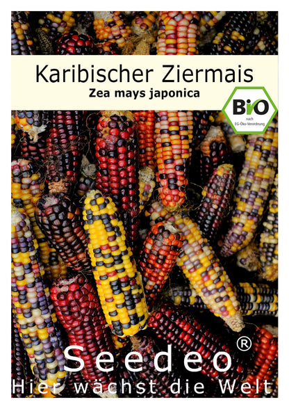 Seedeo® Karibischer Mais, Bunter Mais (Zea mays japonica) ca.20 Samen BIO