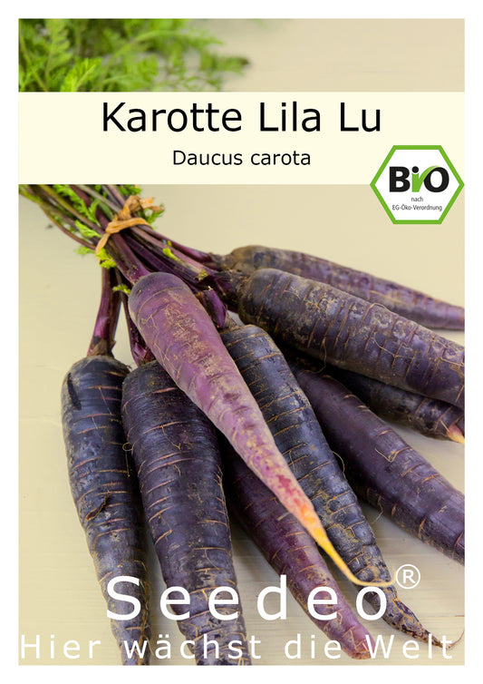 Seedeo® Karotte Lila Lu (Daucus carota) ca.100 Samen BIO