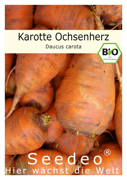 Seedeo® Karotte Ochsenherz (Daucus carota) ca. 250 Samen BIO