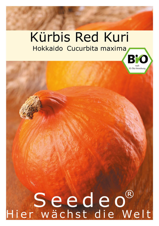 Seedeo® Kürbis Red Kuri (Cucurbita maxima) 10 Samen BIO