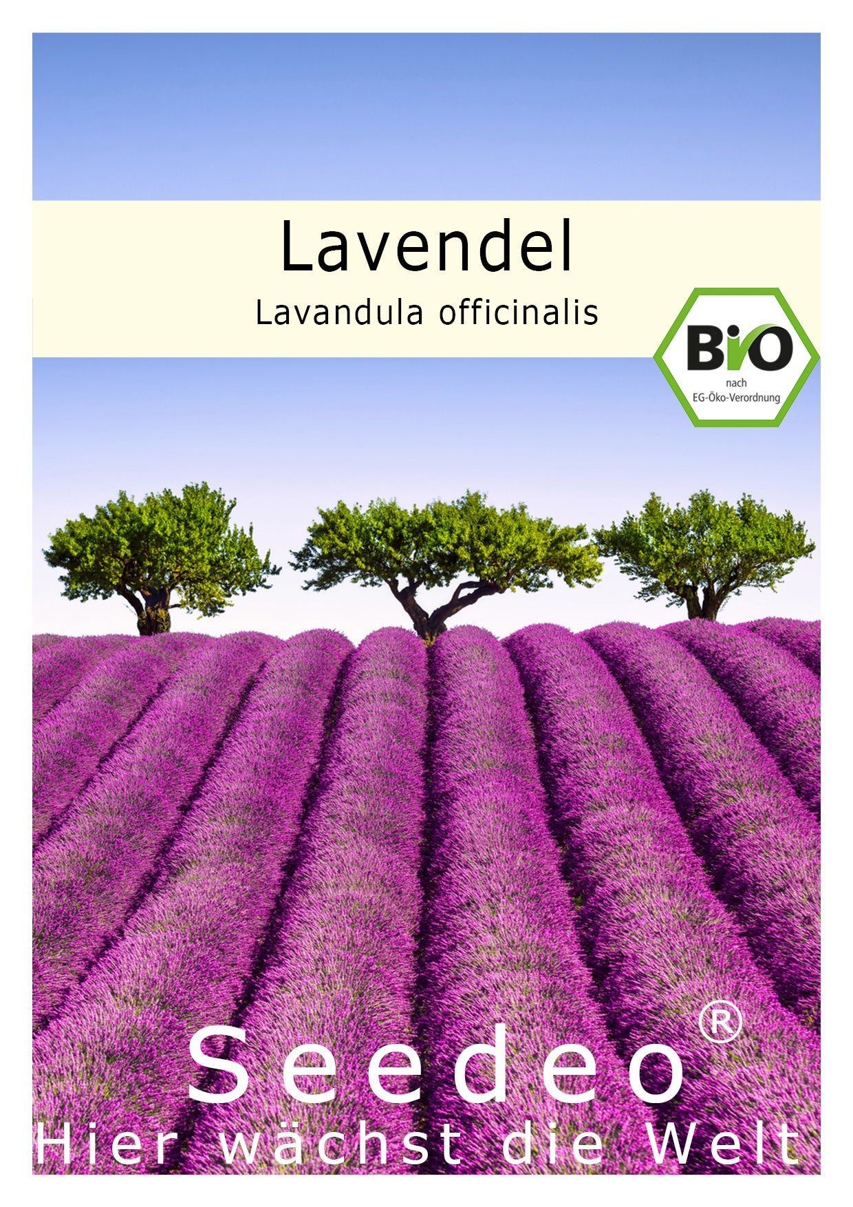 Seedeo® Lavendel  (Lavandula officinalis) 100 Samen