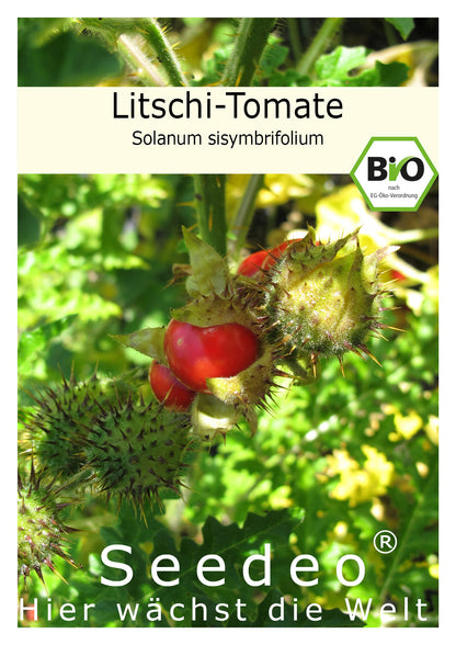 Seedeo® Tomate Litschi Tomate (Solanum sisymbrifolium) 15 Samen BIO