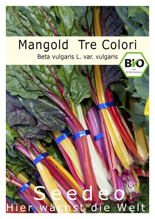 Seedeo® Mangold Tre Colori (Beta vulgaris L. var. vulgaris)  50 Samen BIO