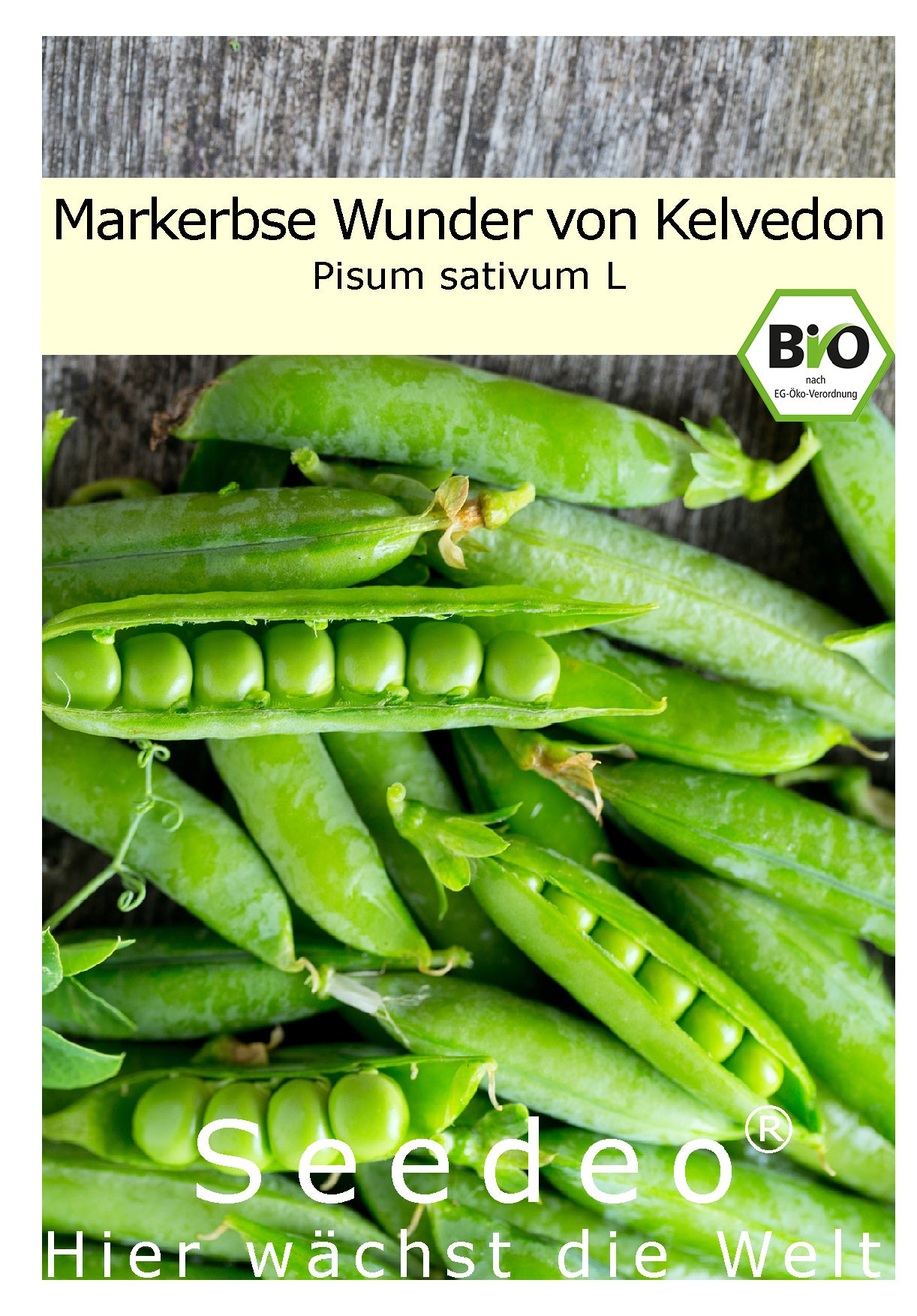 Seedeo® Markerbse Wunder von Kelvedon (Pisum sativum L) ca. 100 Samen BIO