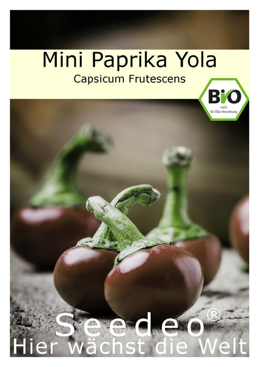 Seedeo® Mini Snack Paprika Yola (Capsicum Frutescens) 20 Samen BIO