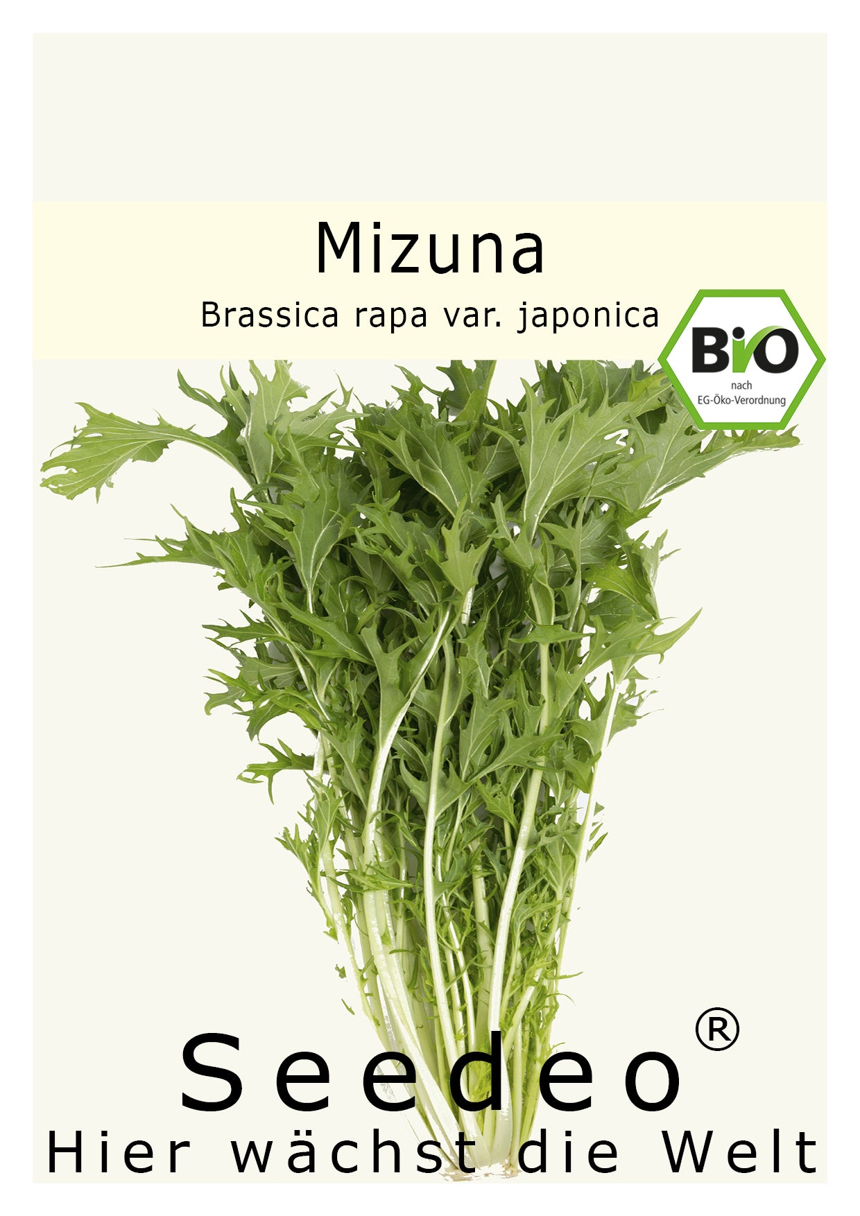 Seedeo® Mizuna  (Brassica rapa var. japonica) 500 Samen BIO