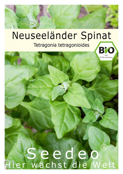 Seedeo® Neuseeländer Spinat (Tetragonia tetragonioides) 20 Samen BIO