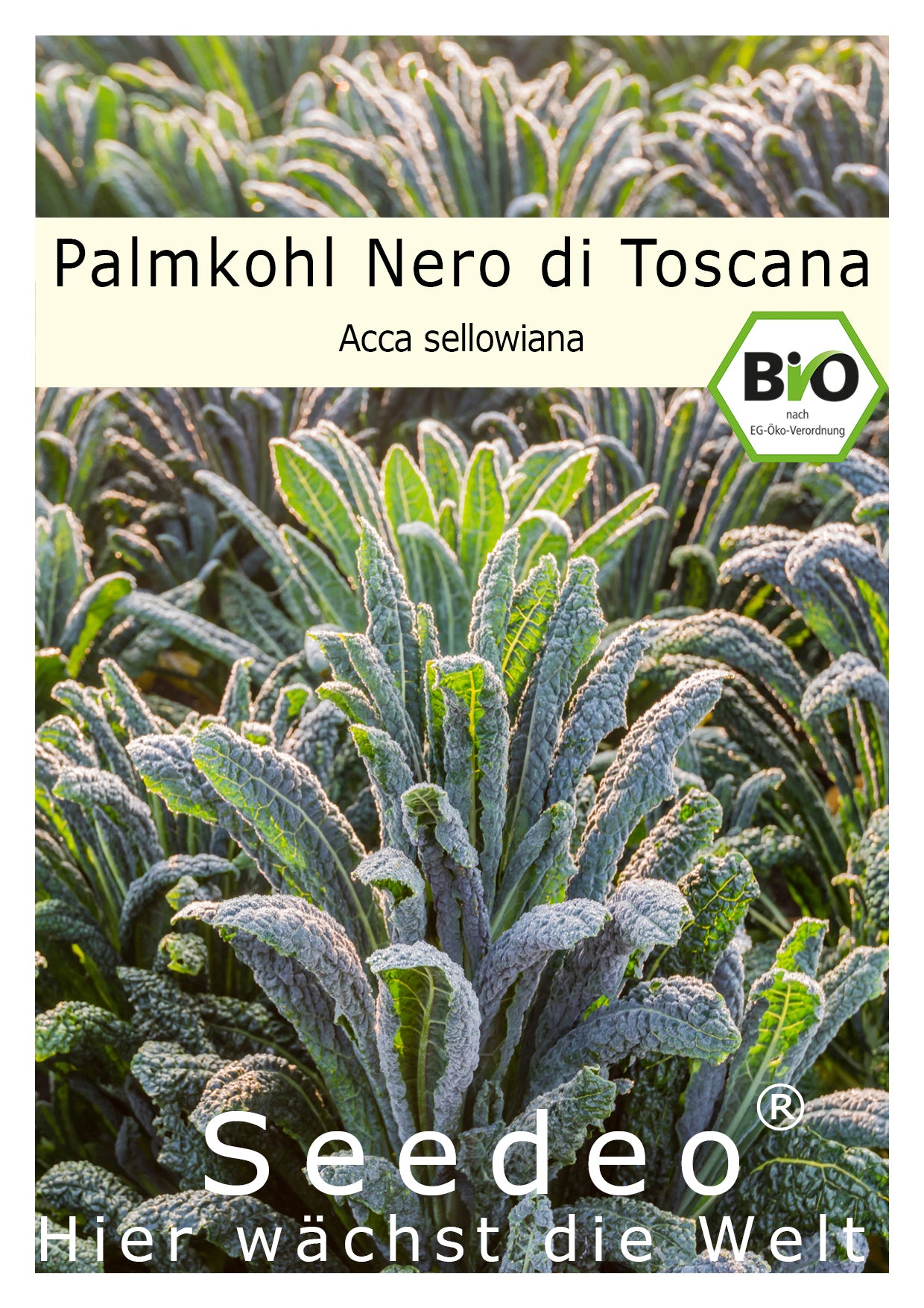 Seedeo® Palmkohl Nero di Toscana (Brassica oleracea var. Palmifolia) 150 Samen BIO