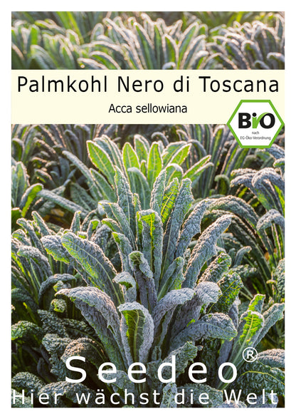 Seedeo® Palmkohl Nero di Toscana (Brassica oleracea var. Palmifolia) 150 Samen BIO