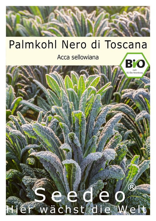Seedeo® Palmkohl Nero di Toscana (Brassica oleracea var. Palmifolia) 150 Samen BIO