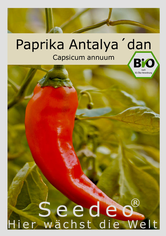 Seedeo® Paprika Antalya´ dan (Capsicum annuum) 20 Samen BIO