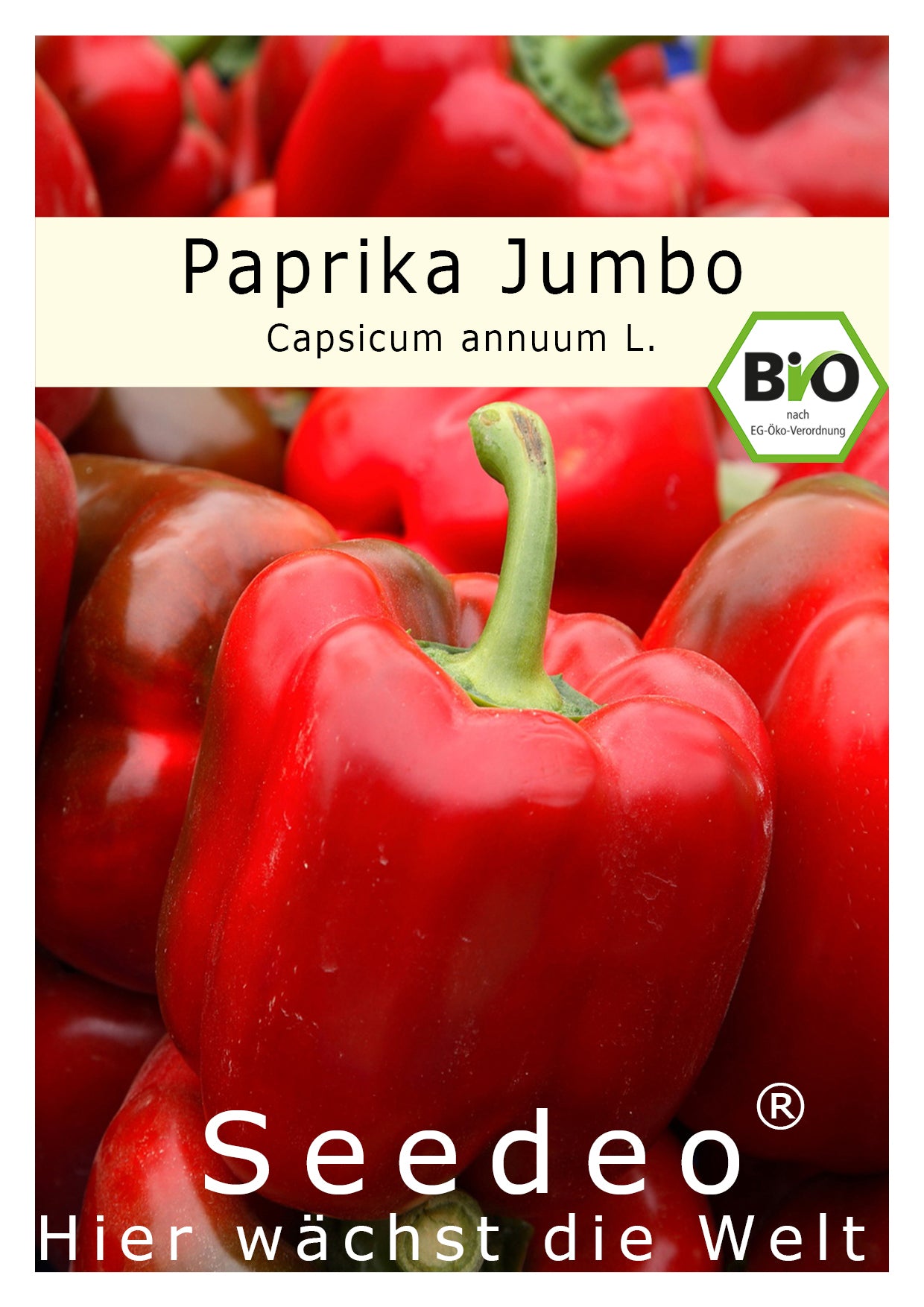 Seedeo® Paprika Jumbo (Capsicum annuum L.) 20 Samen BIO