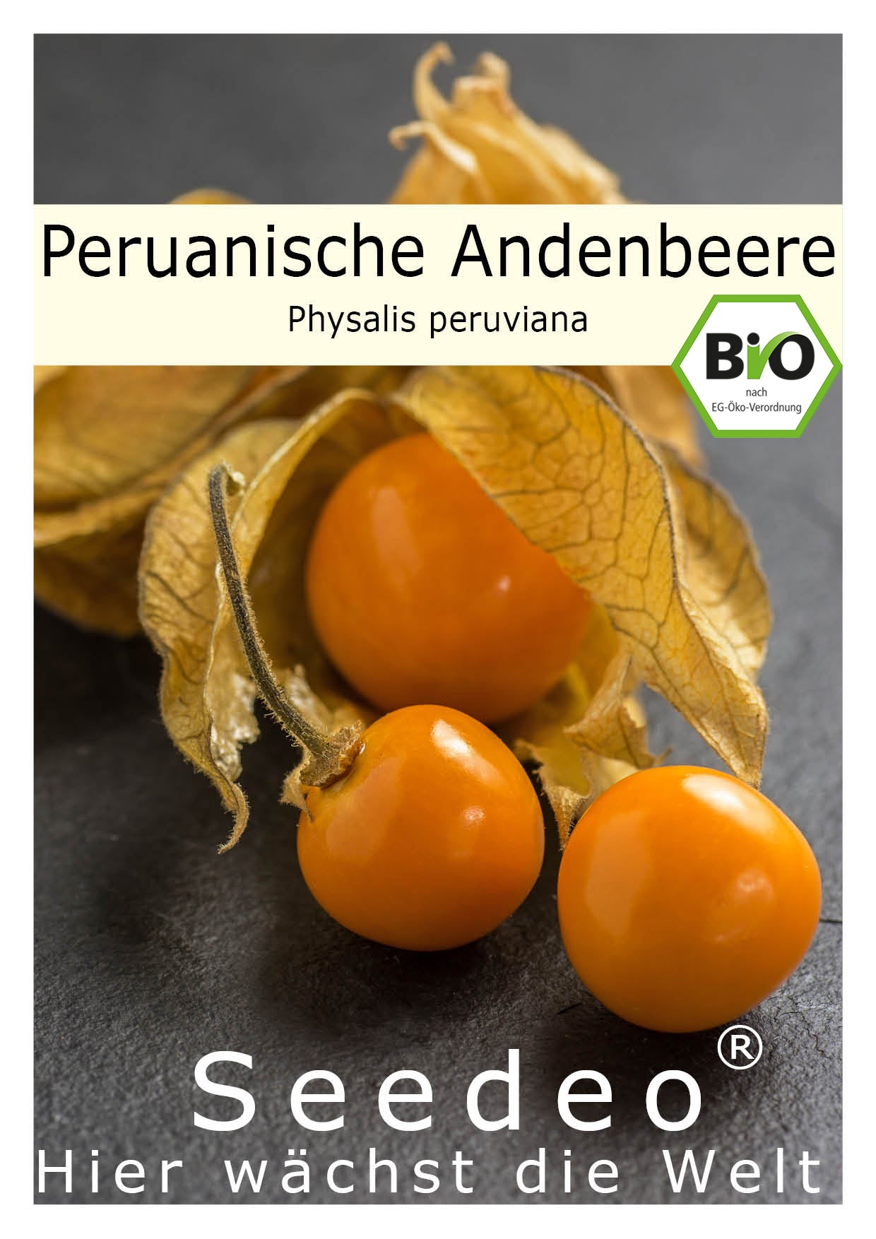 Seedeo® Peruanische Andenbeere (Physalis peruviana) 50  Samen BIO