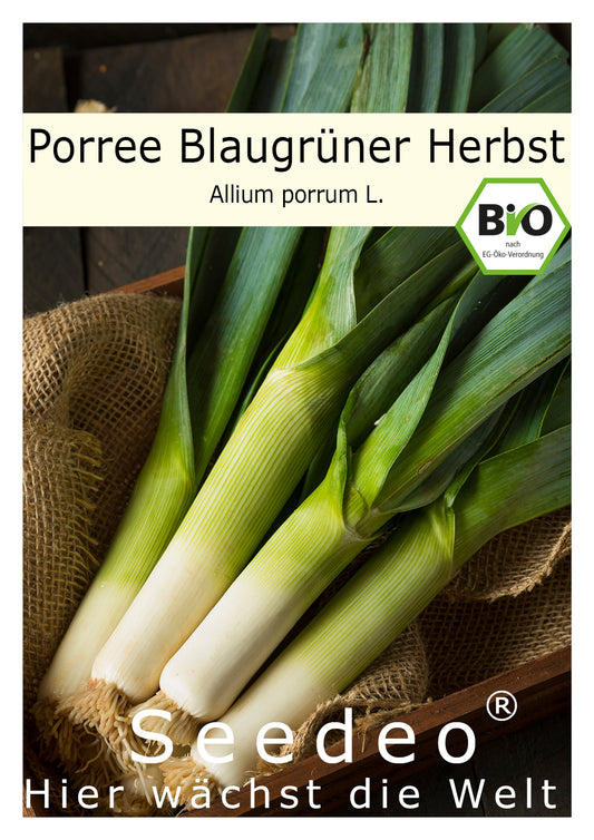 Seedeo® Porree Blaugrüner Herbst (Allium porrum L.) ca.150 Samen BIO