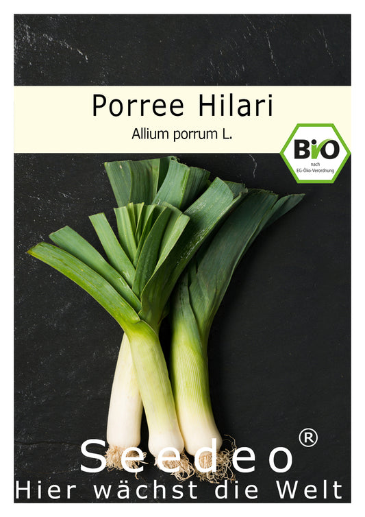 Seedeo® Porree „Hilary“ (Allium porrum L.) ca.150 Samen BIO