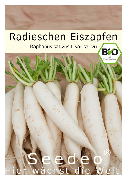 Seedeo® Radieschen Eiszapfen (Raphanus sativus L.var sativu) 100 Samen BIO