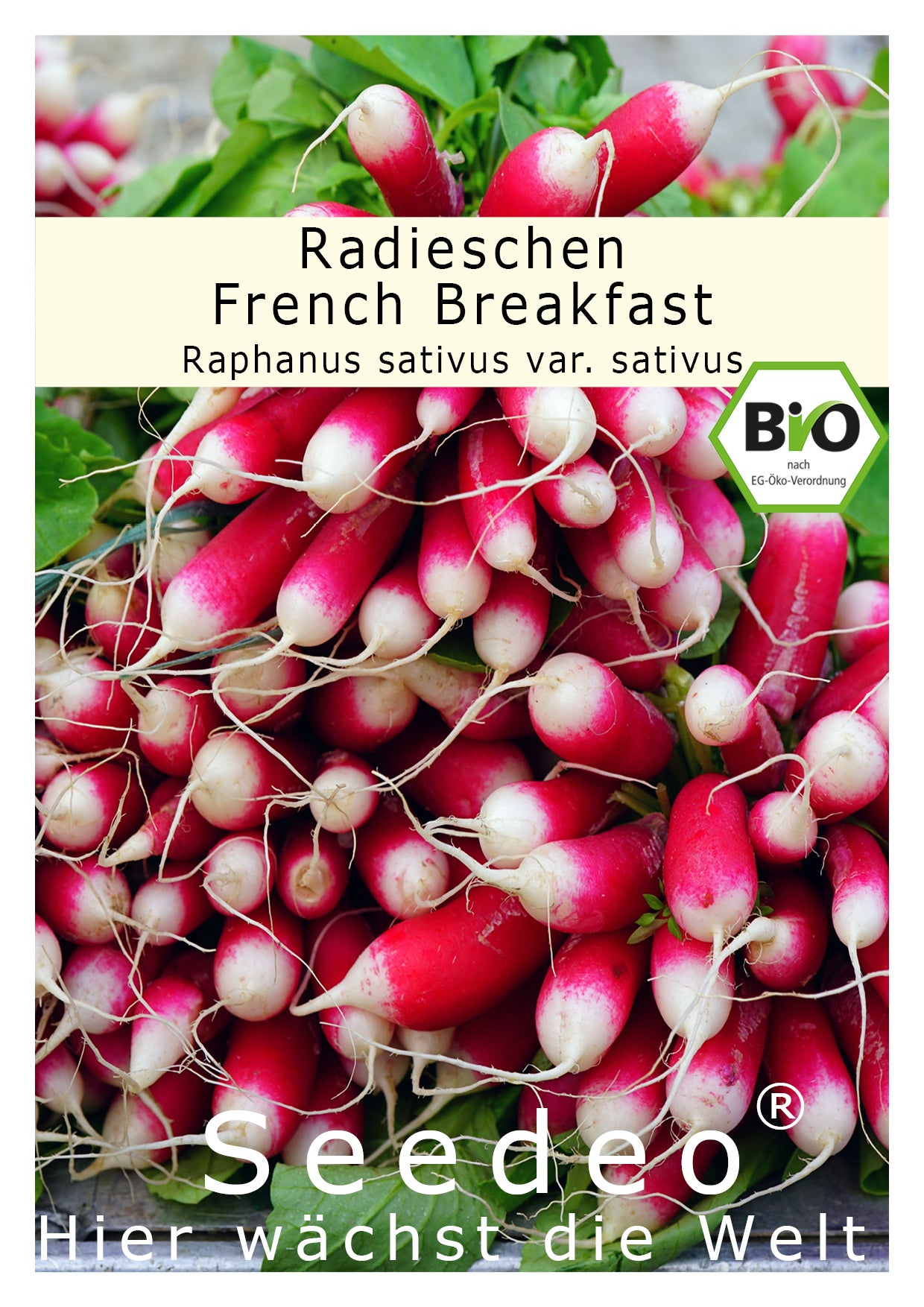 Seedeo® Radieschen 'French Breakfast' ( Raphanus sativus ) 200 Samen BIO