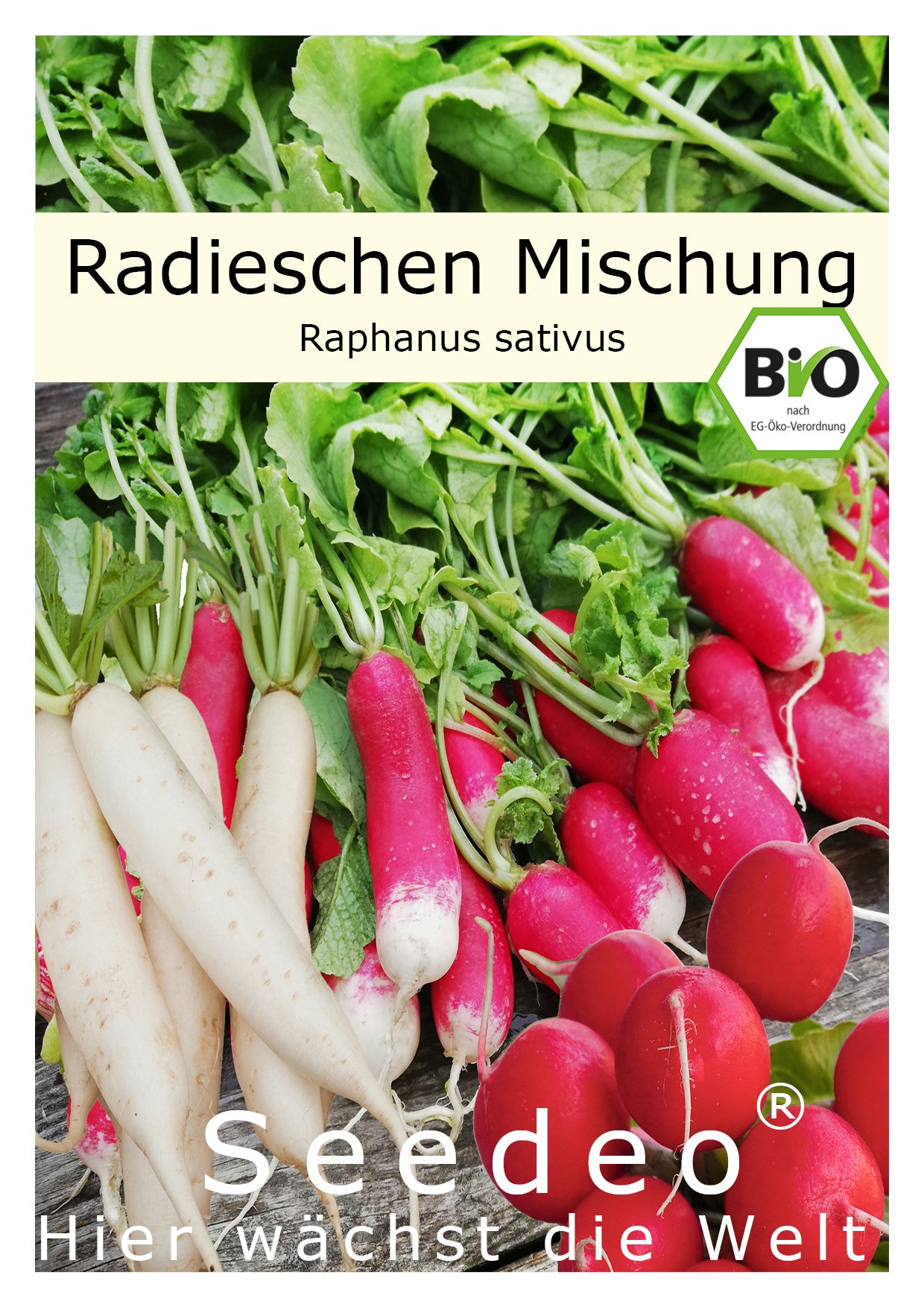 Seedeo® Radieschen Mischung (Raphanus sativus) 200 Samen BIO