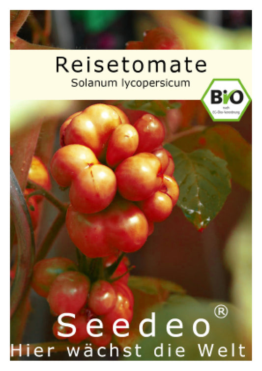 Seedeo® Tomate Reisetomate (Solanum lycopersicum) 15 Samen BIO