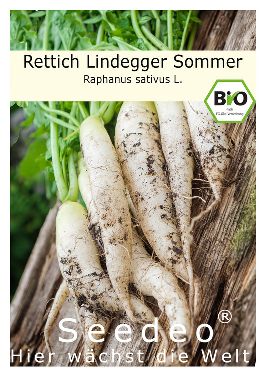 Seedeo® Rettich Lindegger Sommer (Raphanus sativus L.) 250 Samen BIO