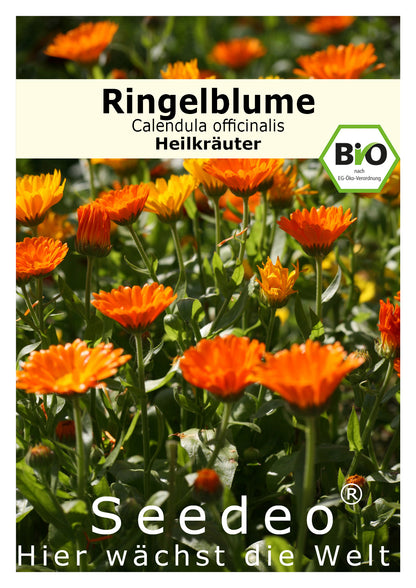Seedeo® Ringelblume (Calendula officinalis) 200 Samen BIO