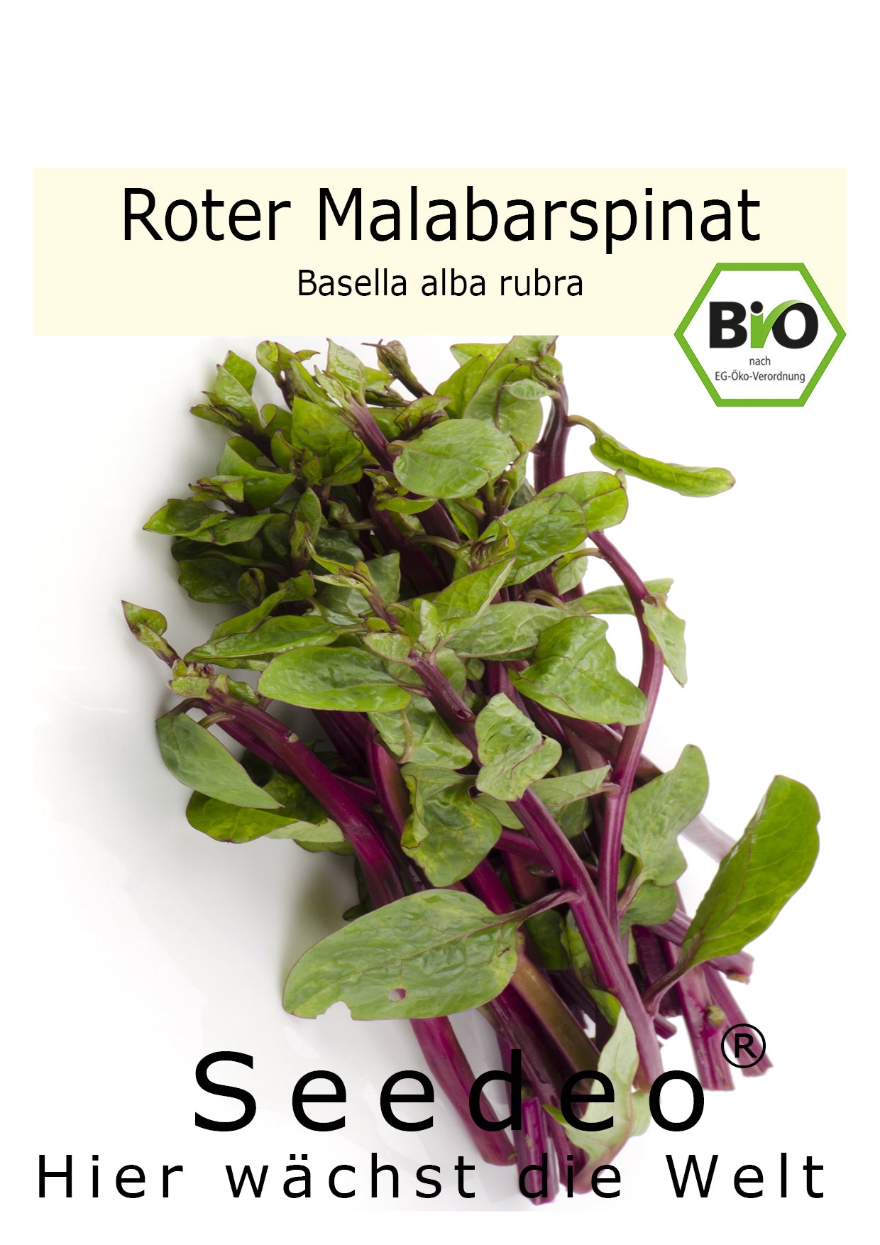 Seedeo® Malabarspinat Roter (Basella rubra) 15 Samen BIO