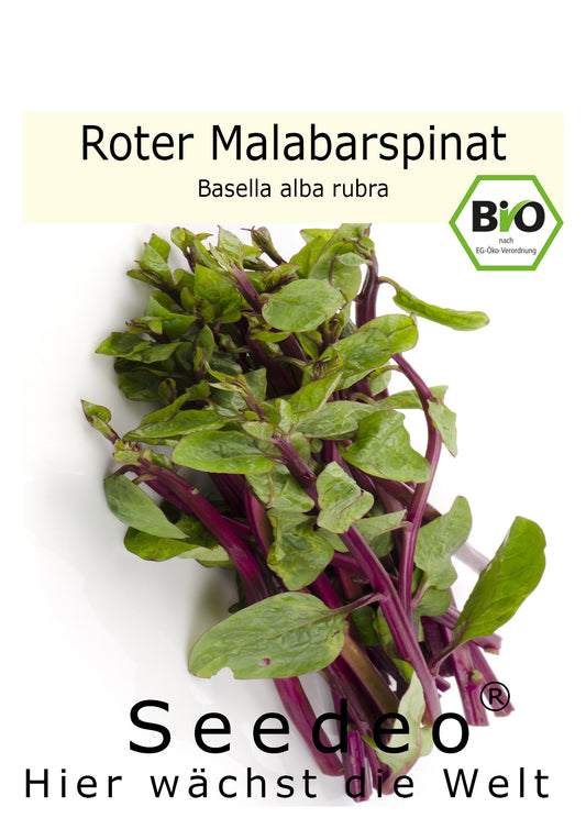 Seedeo® Malabarspinat Roter (Basella rubra) 15 Samen BIO