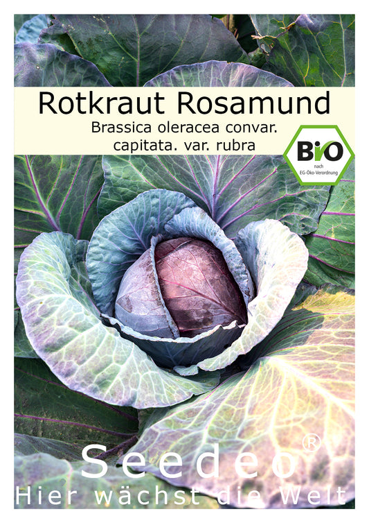 Seedeo® Rotkraut Rosamund (Brassica oleracea convar. capitata. var. rubra) ca. 100 Samen BIO