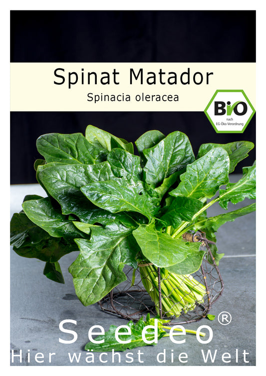 Seedeo® Spinat Matador (Spinacia oleraceaca) 500 Samen BIO