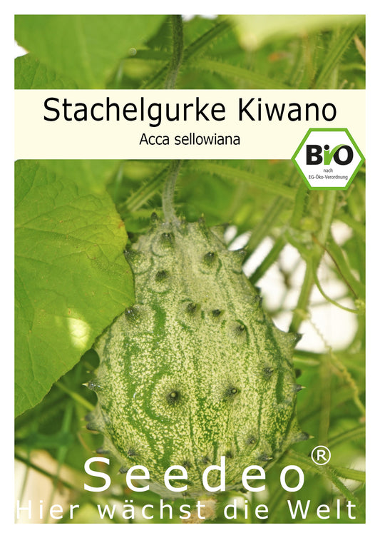 Seedeo® Stachelgurke Kiwano  (Cucumis metuliferus)  10 Samen BIO