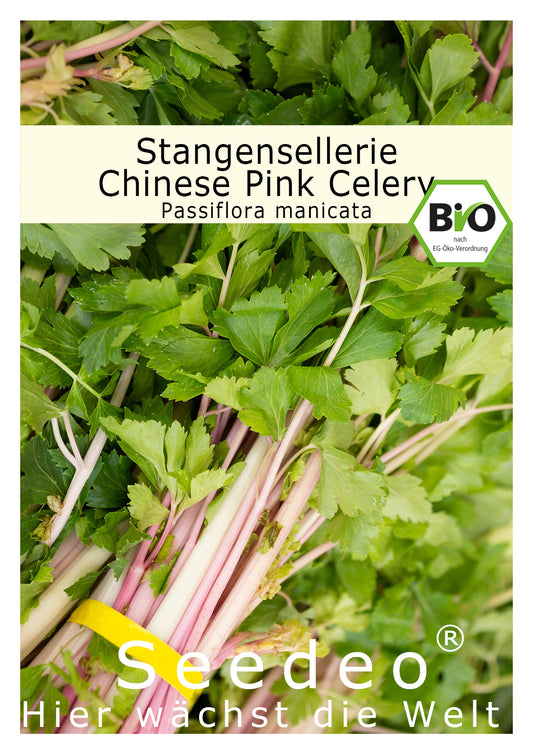 Seedeo® Stangensellerie Chinese Pink Celery (Apium graveolens var. dulce) ca. 100 Samen BIO