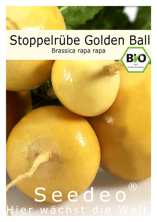Seedeo® Stoppelrübe Golden Ball   (Brassica rapa rapa)  ca. 200 Samen BIO