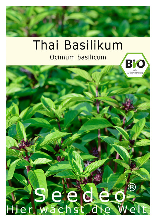 Seedeo® Thai Basilikum (Ocimum basilicum) 200 Samen BIO