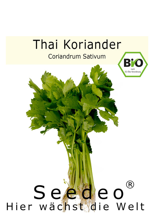 Seedeo® Thai Koriander (Coriandrum Sativum) 50 Samen Bio
