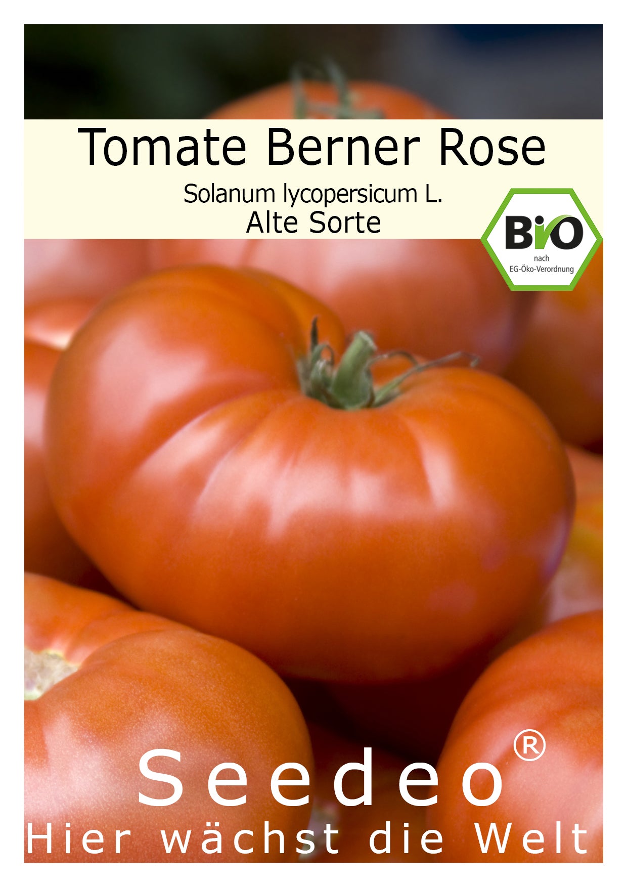 Seedeo® Tomate Berner Rose (Lycopersicum L.)  25 Samen BIO