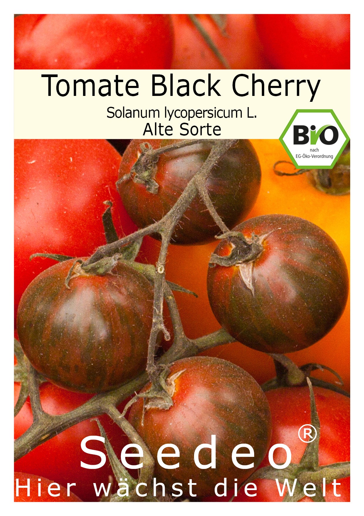 Seedeo® Tomate Black Cherry (Lycopersicum L.) 25 Samen BIO