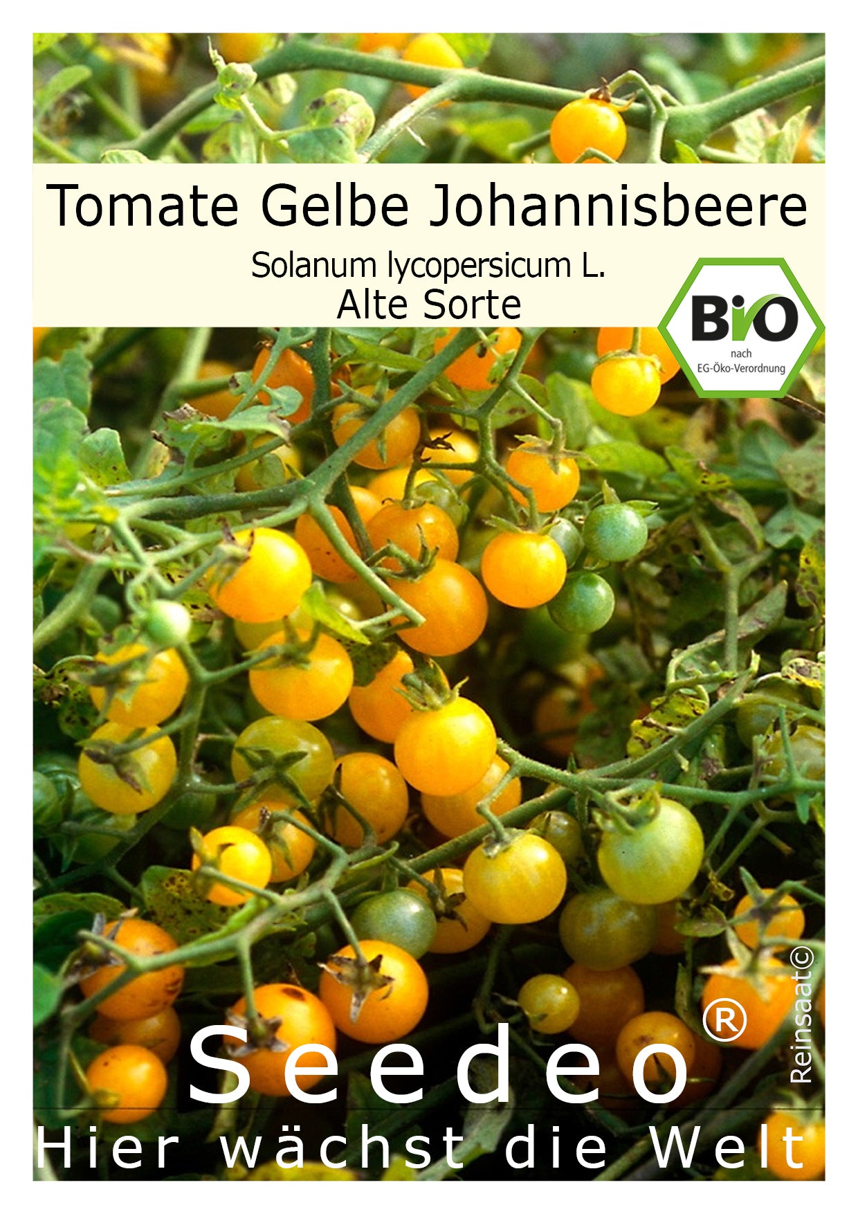 Seedeo® Tomate Gelbe Johannisbeere  (Lycopersicum esculentum Mill.) 30 Samen BIO