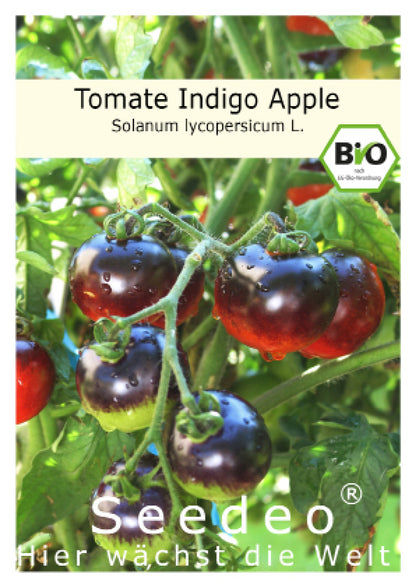 Seedeo® Tomate Indigo Apple (Lycopersicum L.) 20 Samen BIO