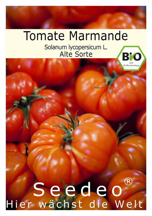 Seedeo® Tomate Marmande (Lycopersicum L.) 25 Samen BIO