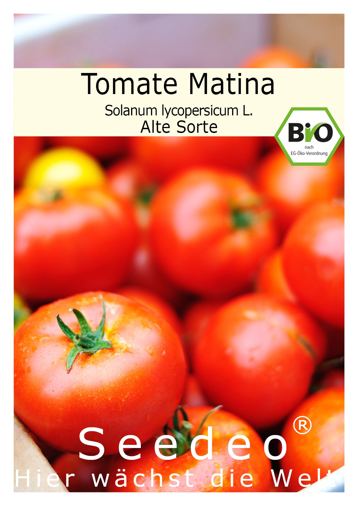Seedeo® Tomate Matina (Lycopersicum L.) 25 Samen BIO