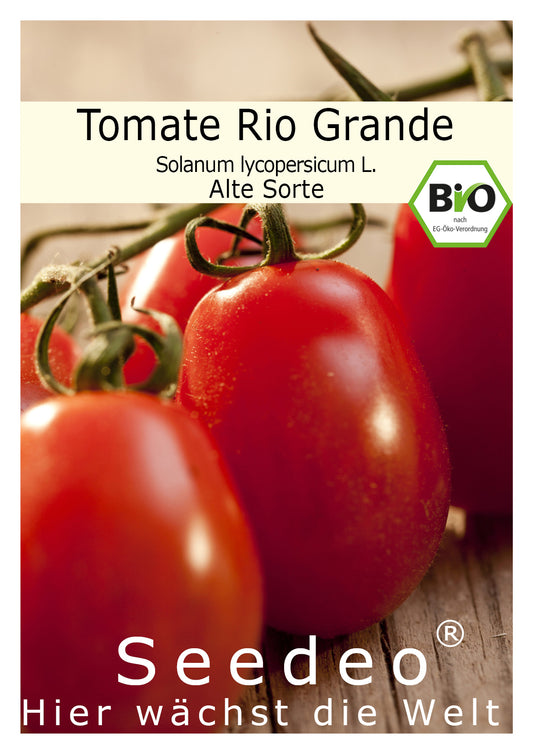 Seedeo® Tomate Rio Grande (Lycopersicum L.) 25 Samen BIO