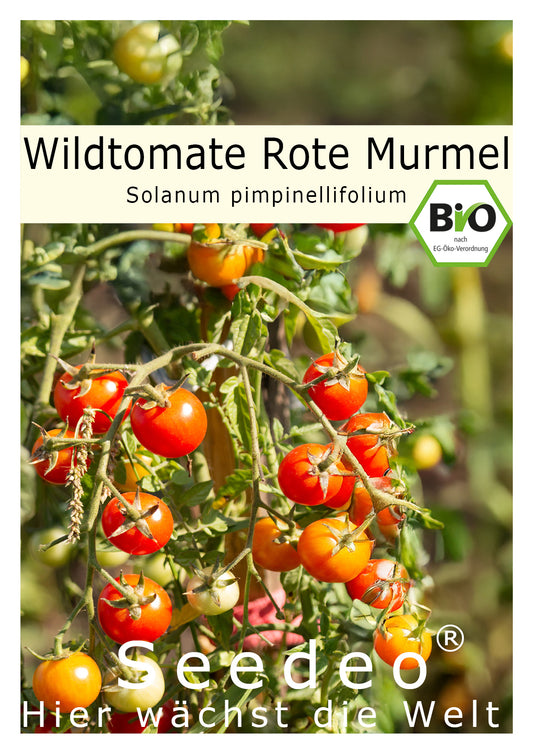 Seedeo® Wildtomate Rote Murmel (Solanum pimpinellifolium) BIO 10 Samen