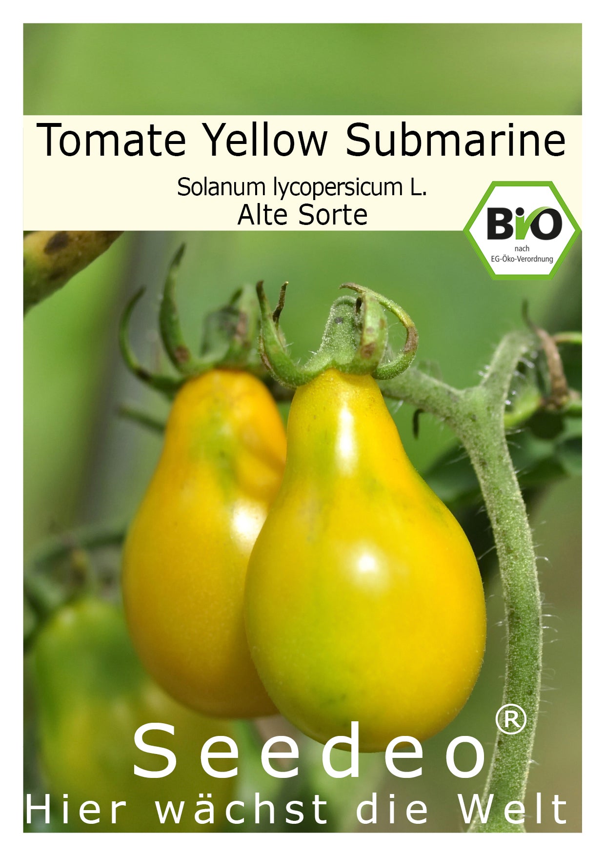 Seedeo® Tomate Yellow Submarine (Lycopersicum esculentum Mill.) 30 Samen BIO