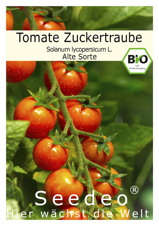 Seedeo® Tomate Zuckertraube (Lycopersicum L.) 30 Samen BIO